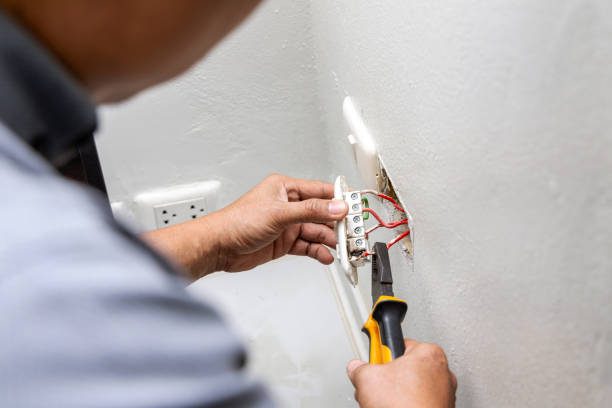 Best Local Electrician Companies  in Clover Creek, WA
